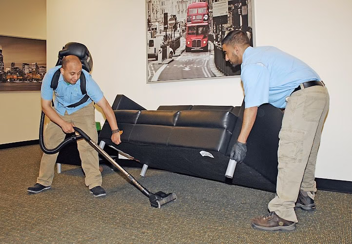 68041 advanced pest control chicago 1