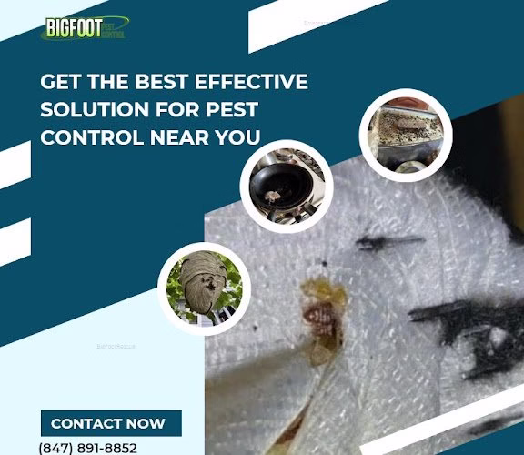 68082 bigfoot pest control 1