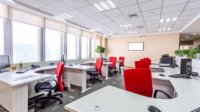 68087 pirate pest control 1 768x432