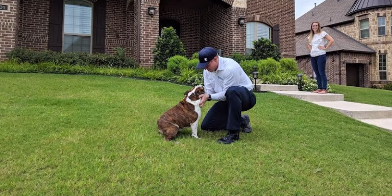 68146 moxie pest control 19 768x384