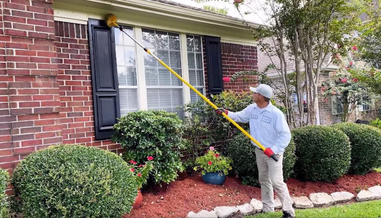 68219 preventive pest control 1 768x440