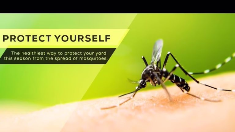 68225 barefoot mosquito pest control 8211 houston tx 1 768x432