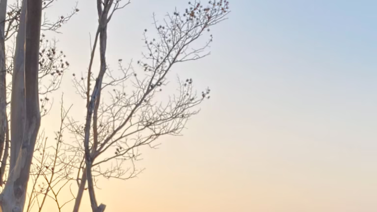 68275 green earth exterminators 2 768x432