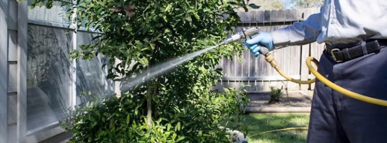 68299 reliant pest management 3 768x284