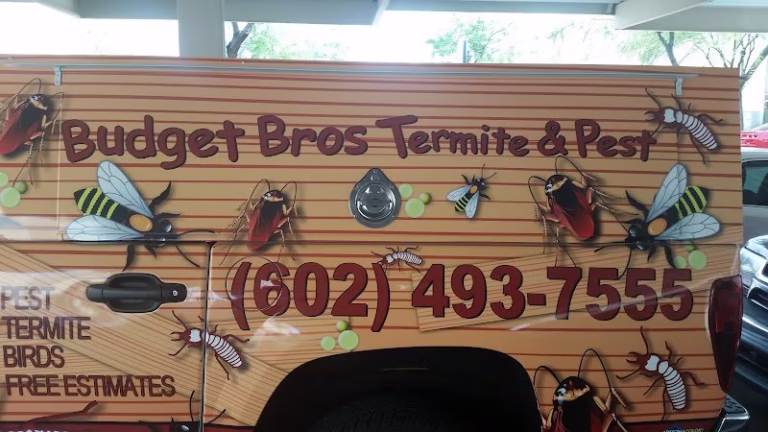 68377 budget brothers termite pest elimination 768x432