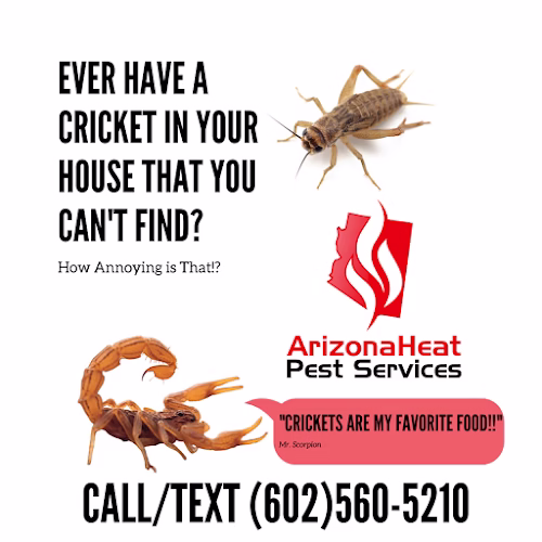 68380 arizona heat pest services 1