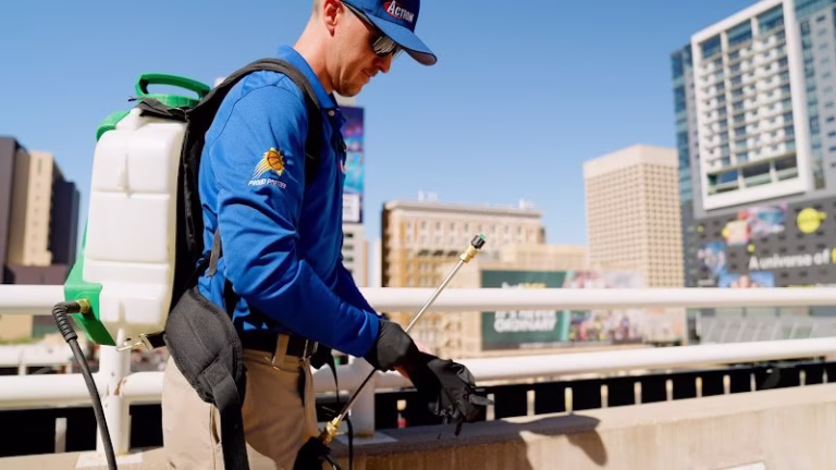 68394 action termite pest control 3 768x432