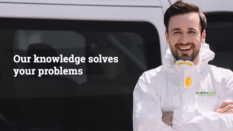 68611 northeast exterminators 768x432