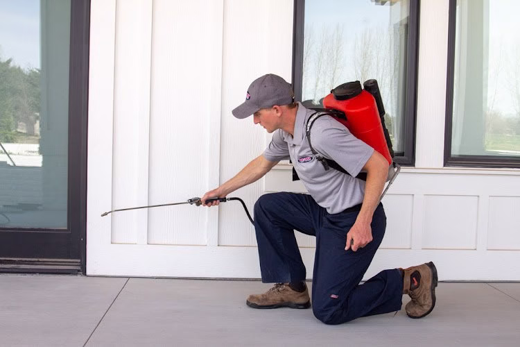 68748 romney pest control 5