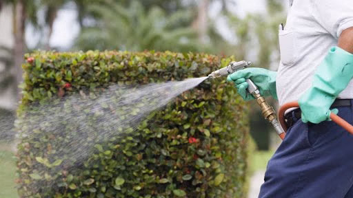 68751 one way pest control san antonio 1