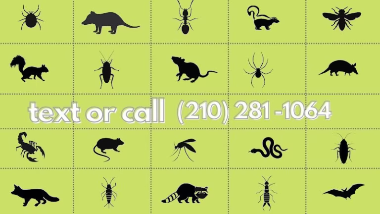 68811 pest trappers 768x432