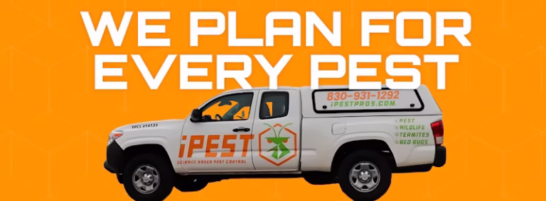 68847 ipest solutions san antonio 768x284