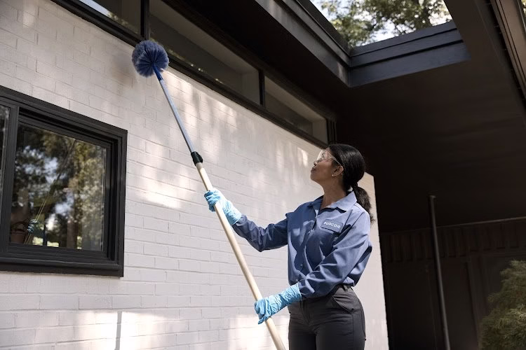 68909 purcor pest solutions 11