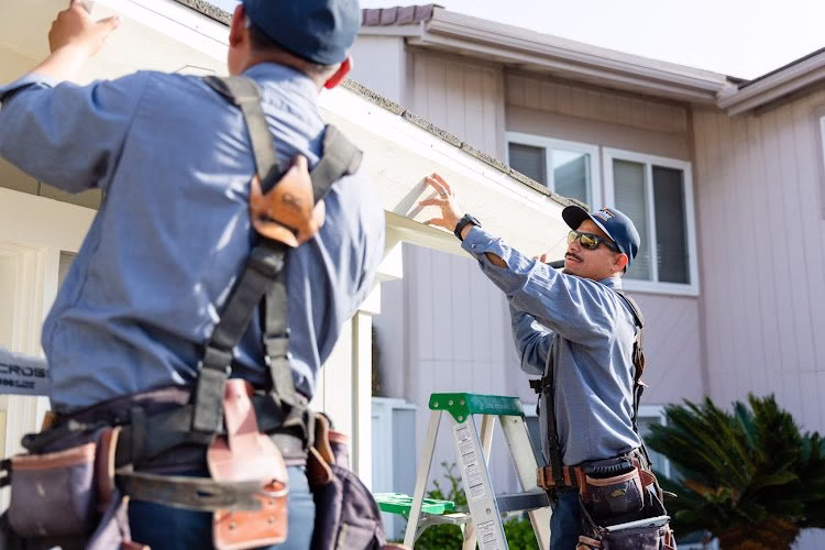 68923 thrasher pest control 1