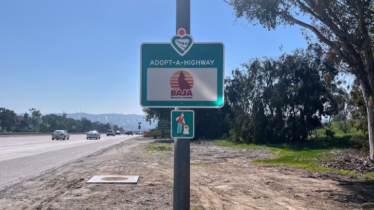 69002 baja wildlife pest control 1 768x432