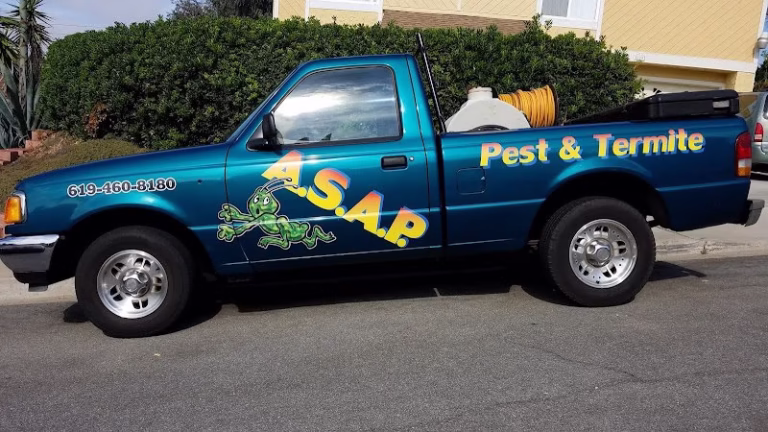 69023 asap pest control termite 768x432