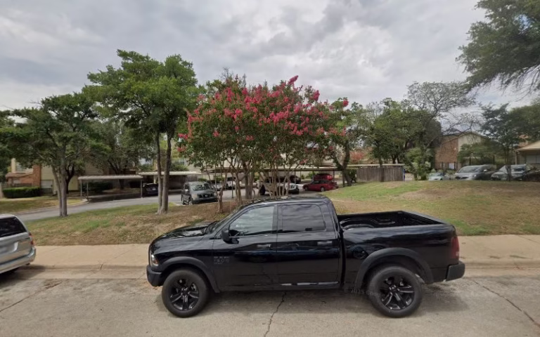 69127 munoz pest control 768x480