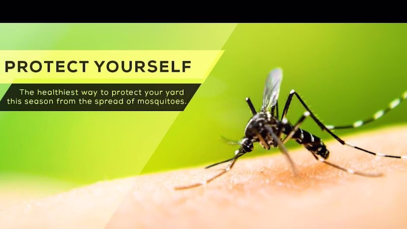 69130 barefoot mosquito pest control 8211 dallas tx 1