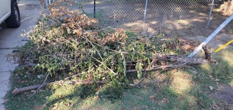 69218 ag wildlife services 1 768x364