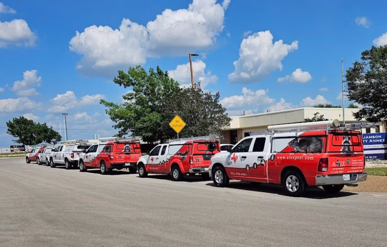 69245 a tex pest management inc 768x490