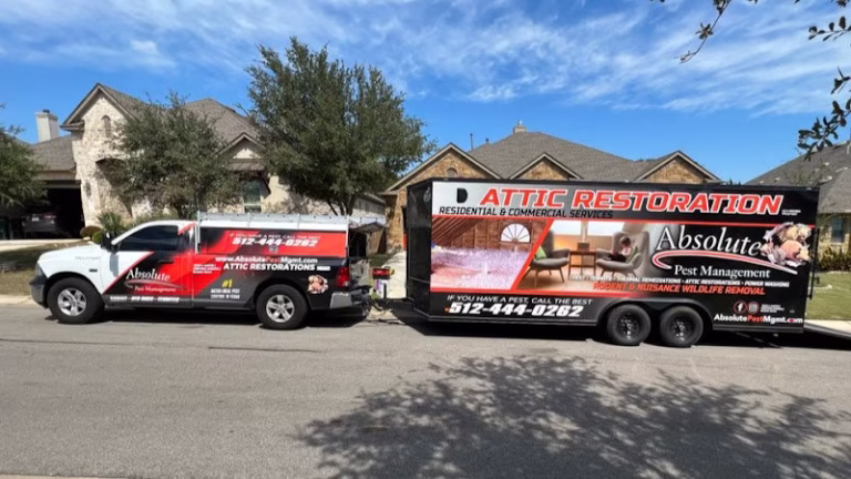 69252 absolute pest management 1 768x432