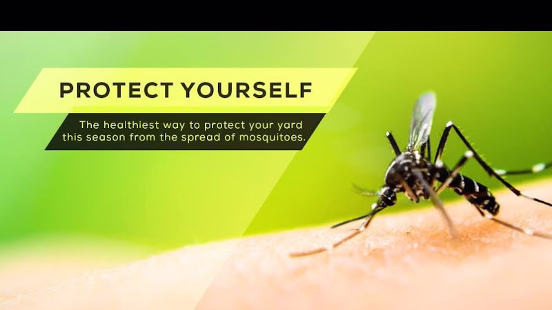 69265 barefoot mosquito pest control 8211 austin texas 1