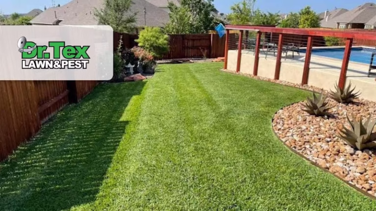 69379 dr. tex lawn pest 1 768x432
