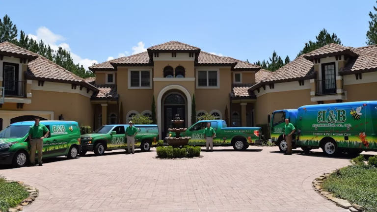 69429 b and b exterminating 768x432