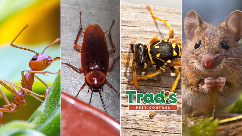 69441 trads pest control 1