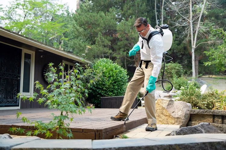 69541 pestmaster of jacksonville 1