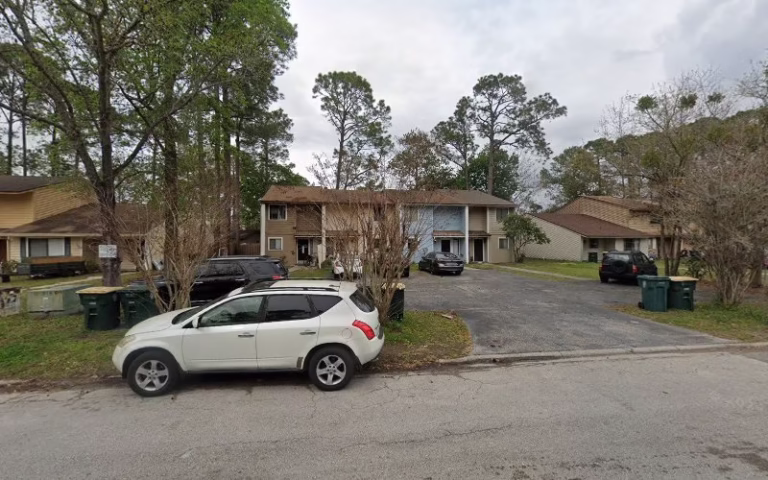 69585 ritters lawn pest solutions 768x480