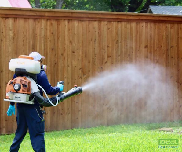 69612 ideal pest control 1