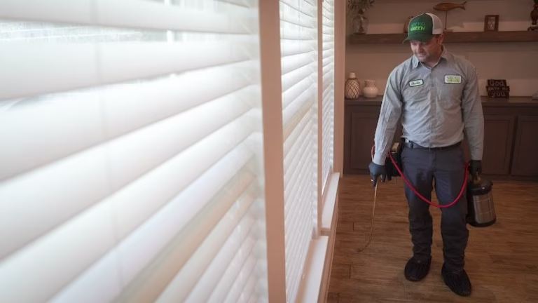 69701 gecko green pest solutions 768x432