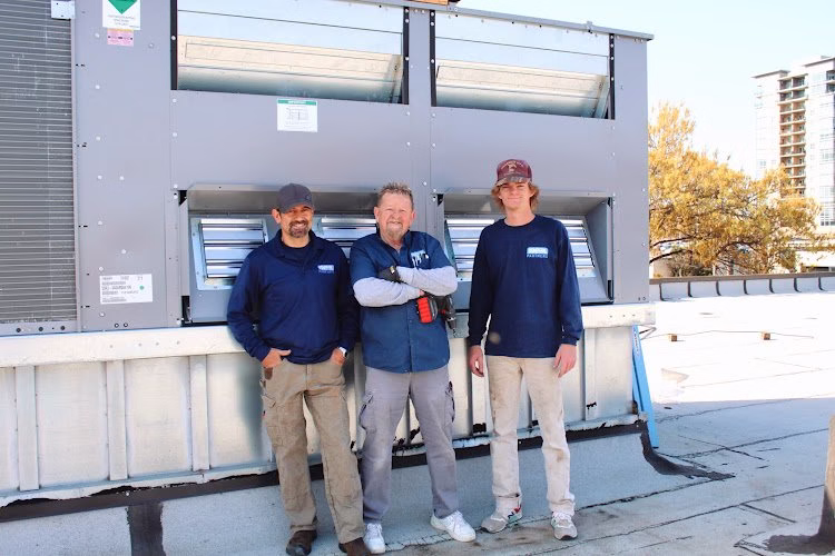 69707 ideal partners 1