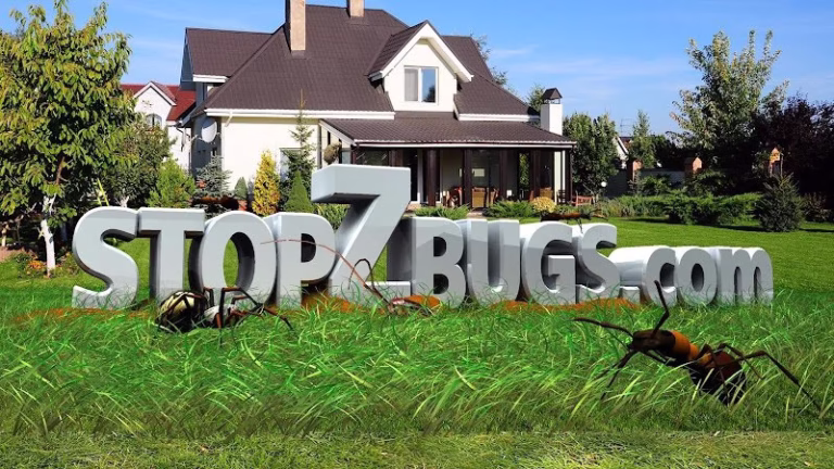 69736 scherzinger pest control 768x432