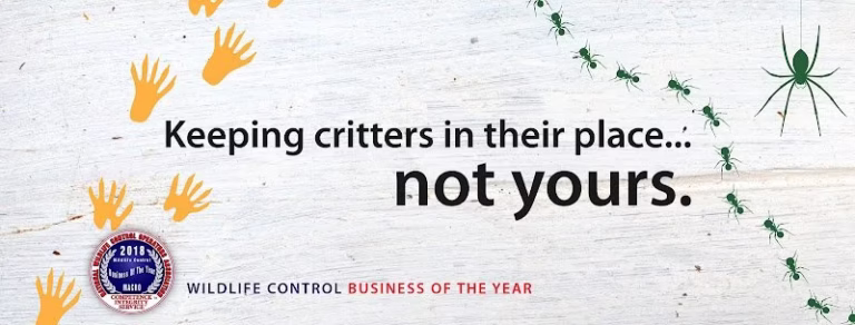 69797 varment guard wildlife services 1 768x292