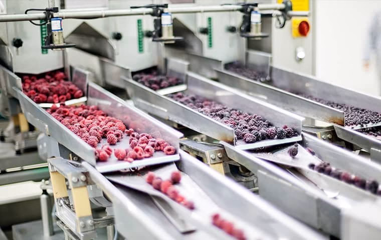 69906 proforce pest control 8211 charlotte