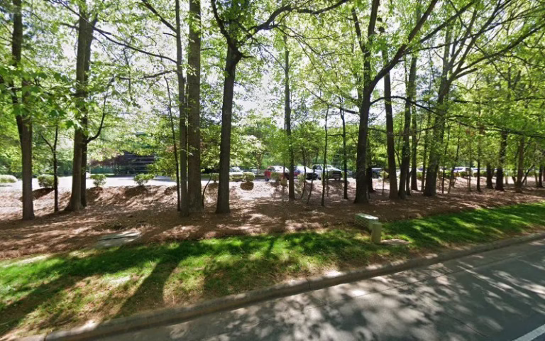 69956 avista pest control charlotte 1 768x480