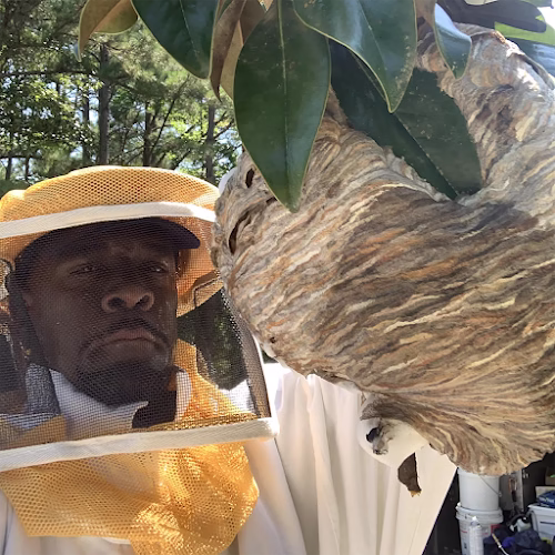 69969 cleggs termite pest control 8211 charlotte