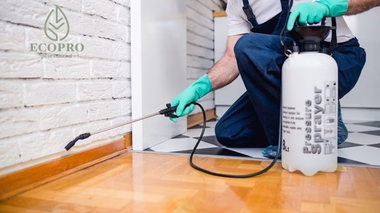 70031 ecopro pest control 3 768x432