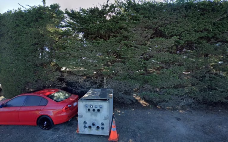 70117 xpert rodent solutions 8211 pest control service san mateo county california 1 768x480