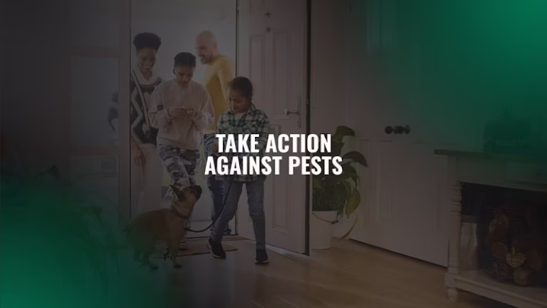 70189 action pest control 5 768x432