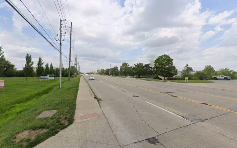 70229 maven pest control 768x480