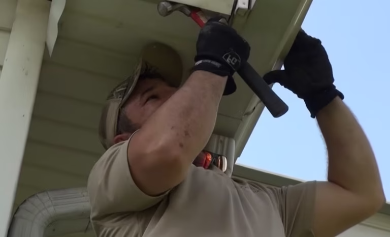 70320 pro bird control indianapolis 1 768x466