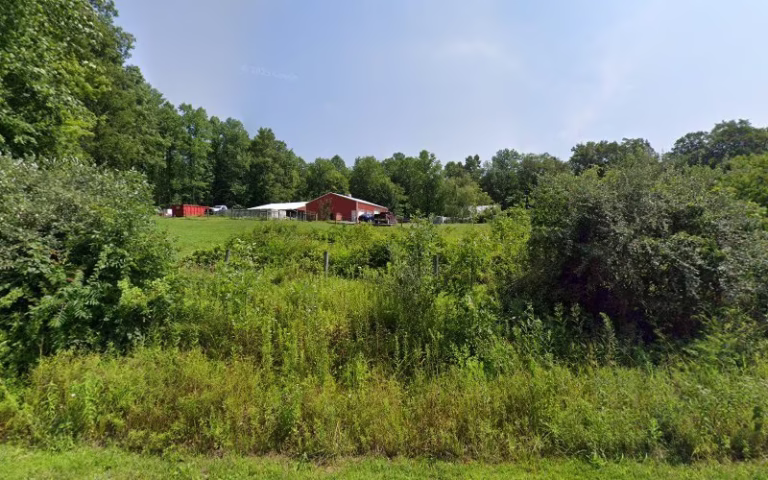 70335 hauks pest control insulation 1 768x480