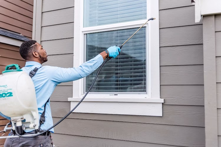 70355 insight pest control 8211 seattle 1