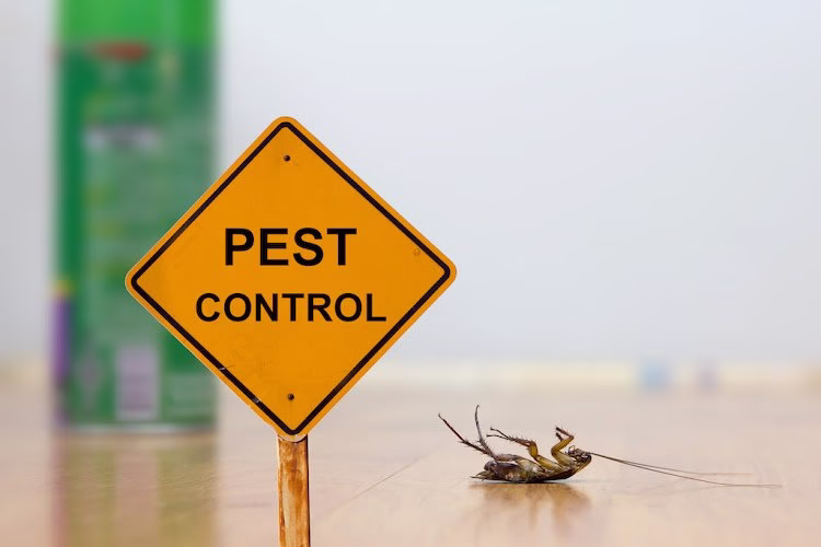 70369 pro pest control exterminators 1