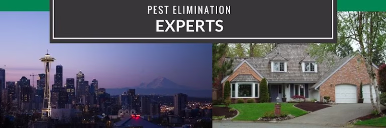 70425 redi national pest eliminators 1 768x256