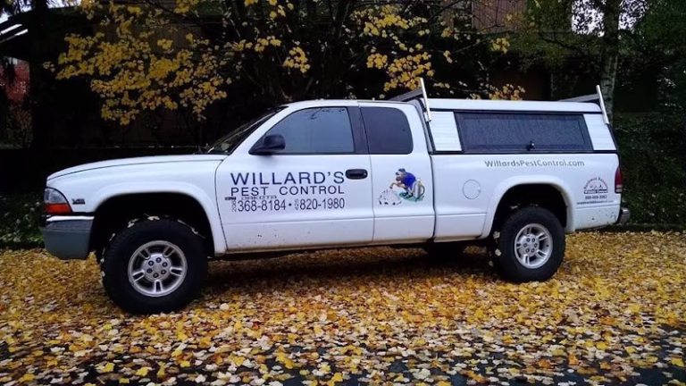 70499 willards pest control 768x432