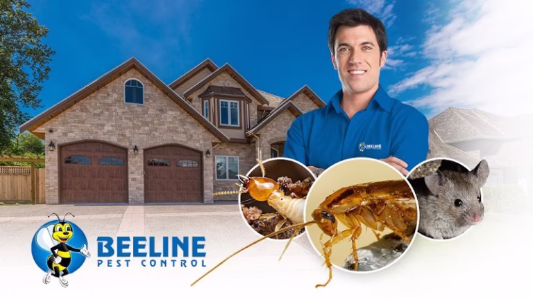 70568 beeline pest control 768x432